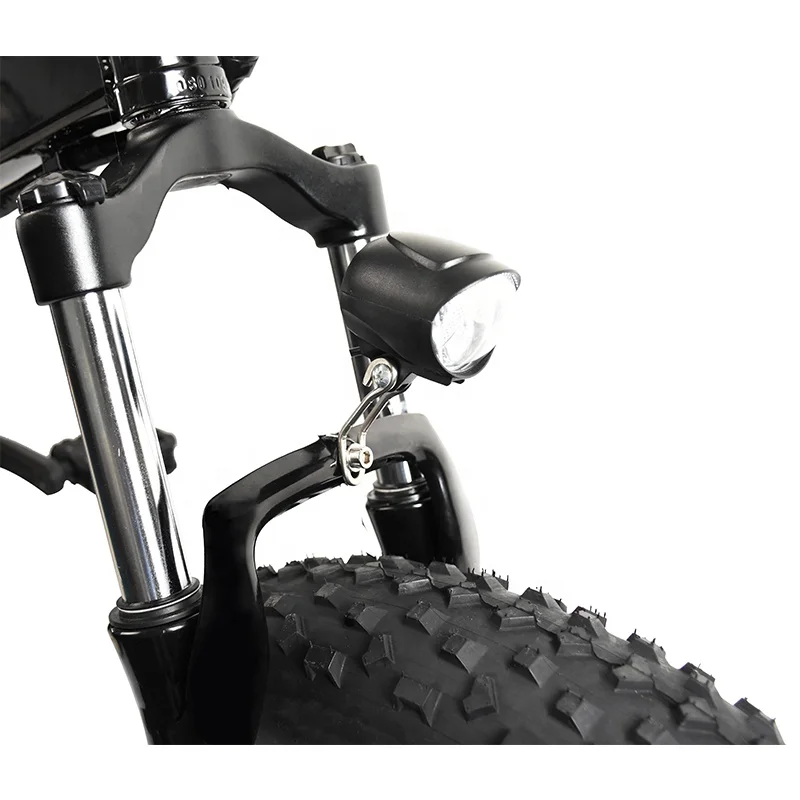 Factory direct 48V 15Ah Lithium Battery 750w 1000w 20 inch electric fat tire bike