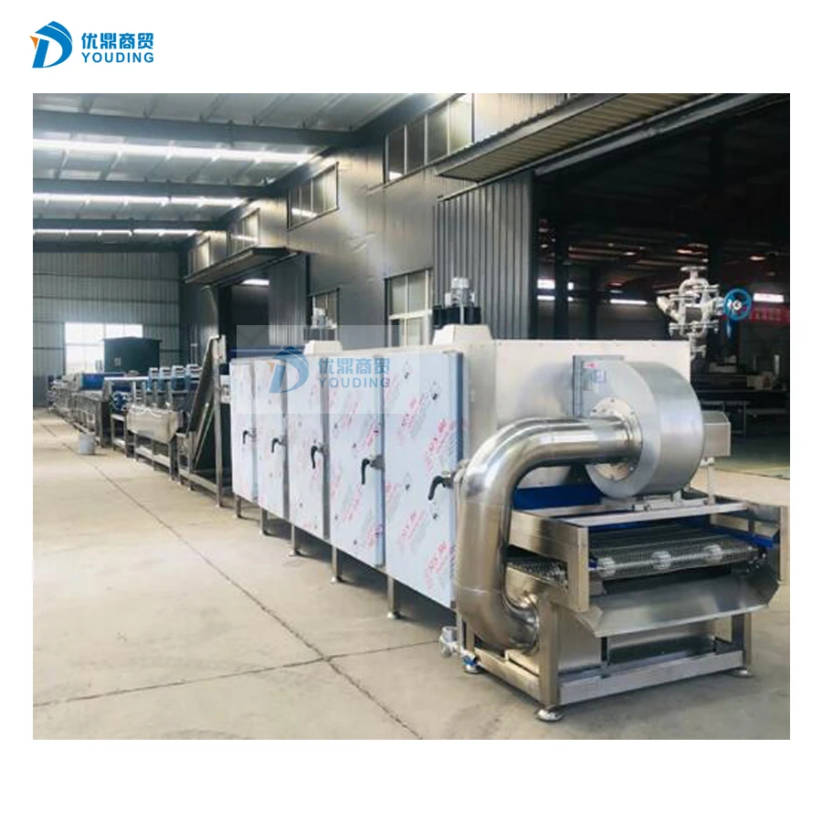 Industrial Fruit and Vegetable Processing Food Drying Machine for Carrot Mango Chips Dehydrating