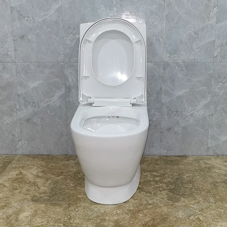 Toilet Hand Wash Basin Set Ethiopian Market Hot Sell Golden Dragon Water Closet With Accessories
