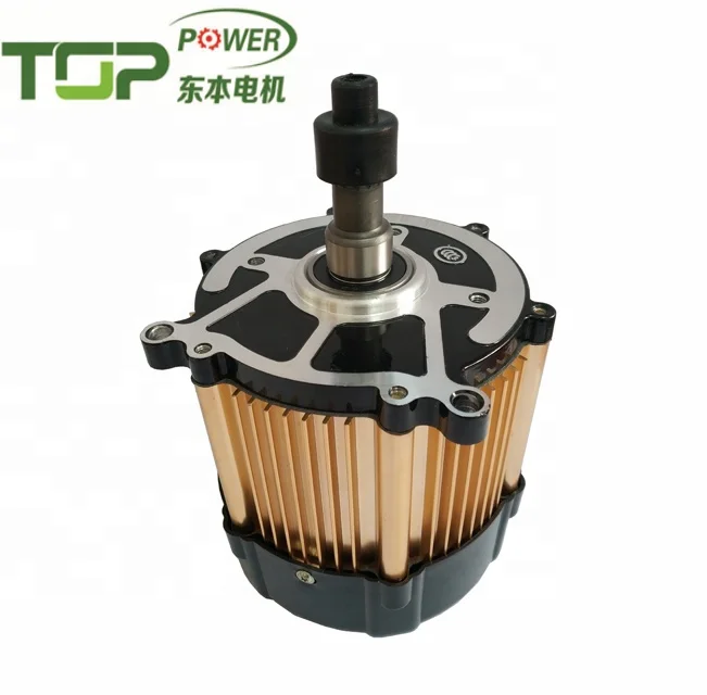 Cargo Electric Tricycle 1000W 60 Volt Brushless DC Motor For Adult