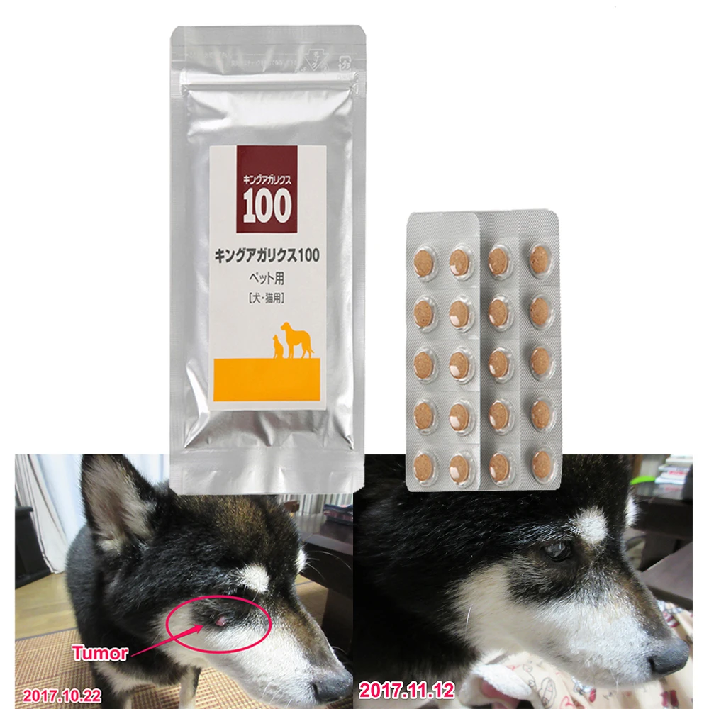 Лекарственные грибы, фирменная марка, питомцы, медицинские добавки для уменьшения опухоли