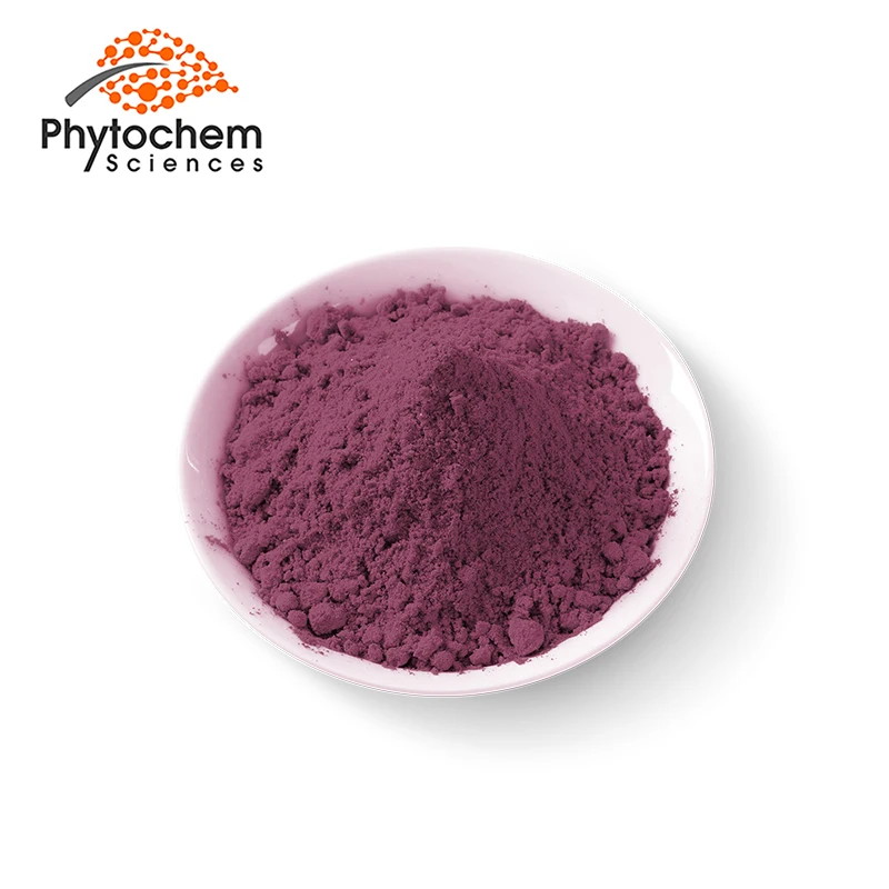 Freeze dried natural Euterpe badiocarpa Acai extract 10 to 1 juice powder 0.5% Polyphenols organic Acai berry extract powder