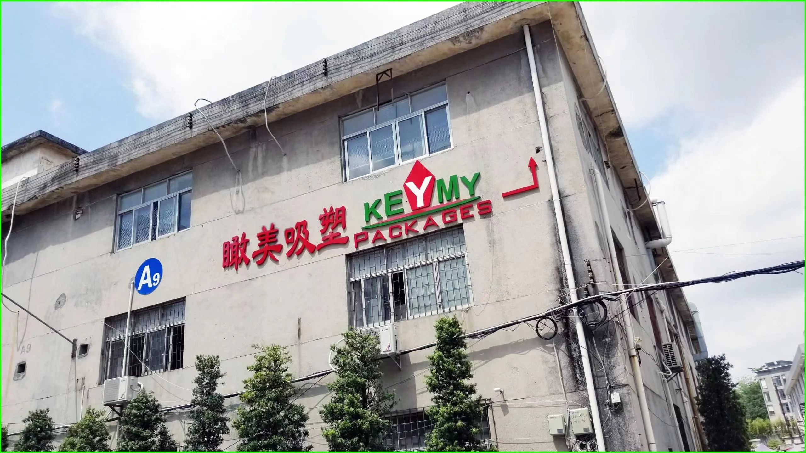 shenzhen manufacturer wholesale Blister Clamshell packaging custom size