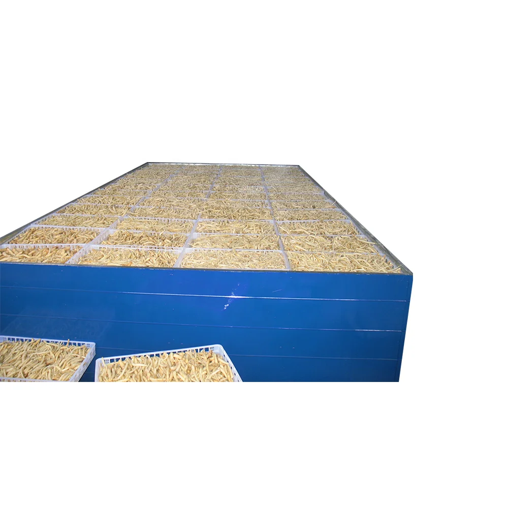 Chuanminshen violaceum Chinese herbal medicine Flat bed dryer