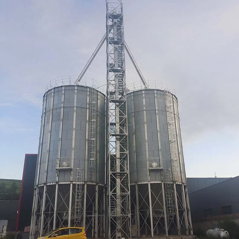 1000 Tons Paddy Rice Steel Storage Vertical Maize Silos Prices ventilation system