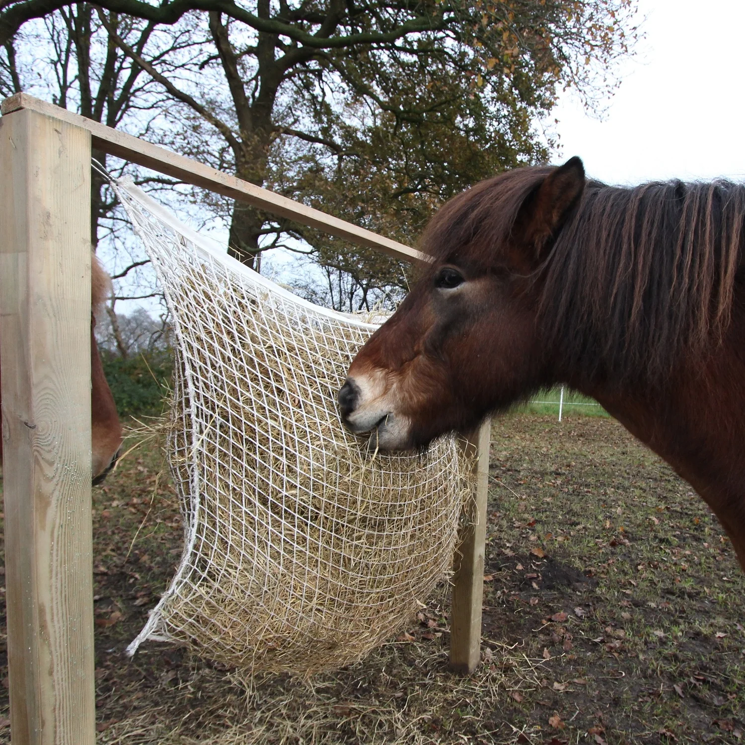 Horshi  Durable Rectangular Hay Net, Feed Saver Slow Hay Net Bag 90x60 cm Mesh Size 3x3 cm