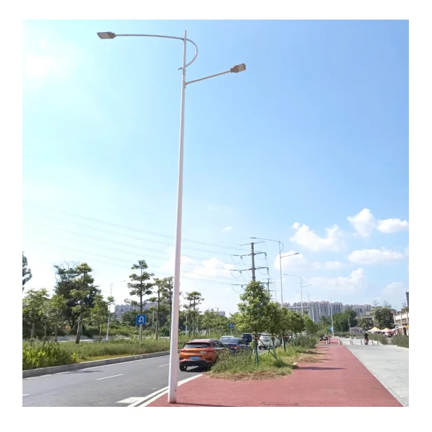 Hot Sale Galvanized steel road Street light pole with 2 arms of LED Lights