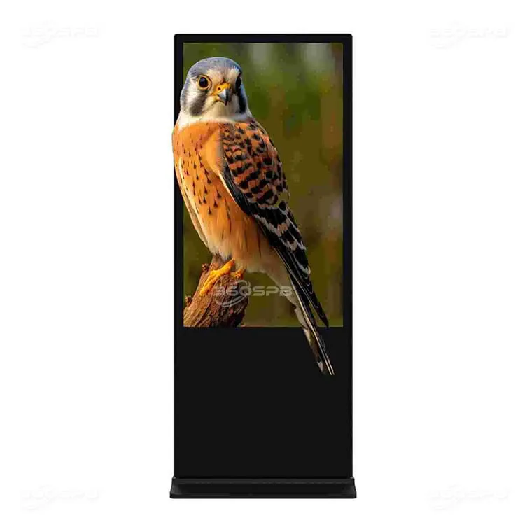 360SPB  IFS55A 55-inch Indoor Floor Standing advertising boards digital signage and displays