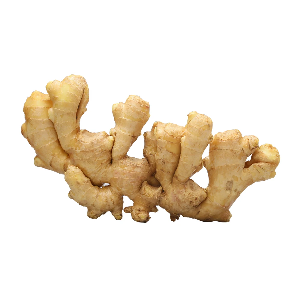 High quality dried fresh ginger market price per ton wholesale Ginger buyers for export in China Ginger