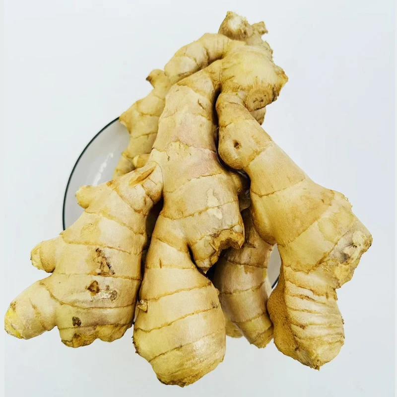 Competitive Price Nuisanceless Fresh Ginger Root Wholesale At Competitive Market Prices