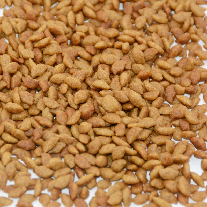 Cheap And High Quality Fresh Diel Full Price Cat Dry Food 10kg High Protein Nutritional Freeze Dried Pet Food