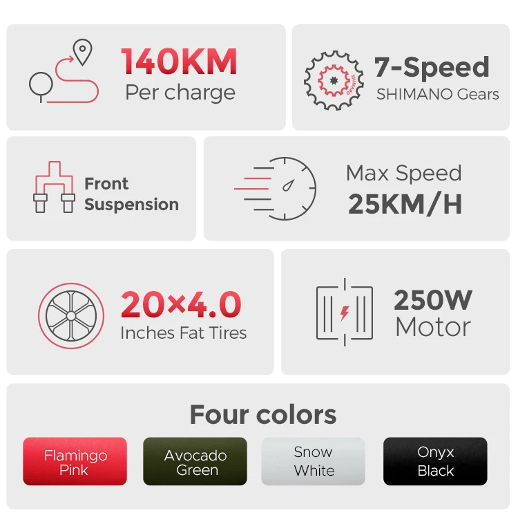 ENGWE  L20 Step Through Electric Bike for Adults 20 . 4 Fat Tire Max Speed 25KMH Urban Bike  48V13Ah  fat tires ebike for ladies