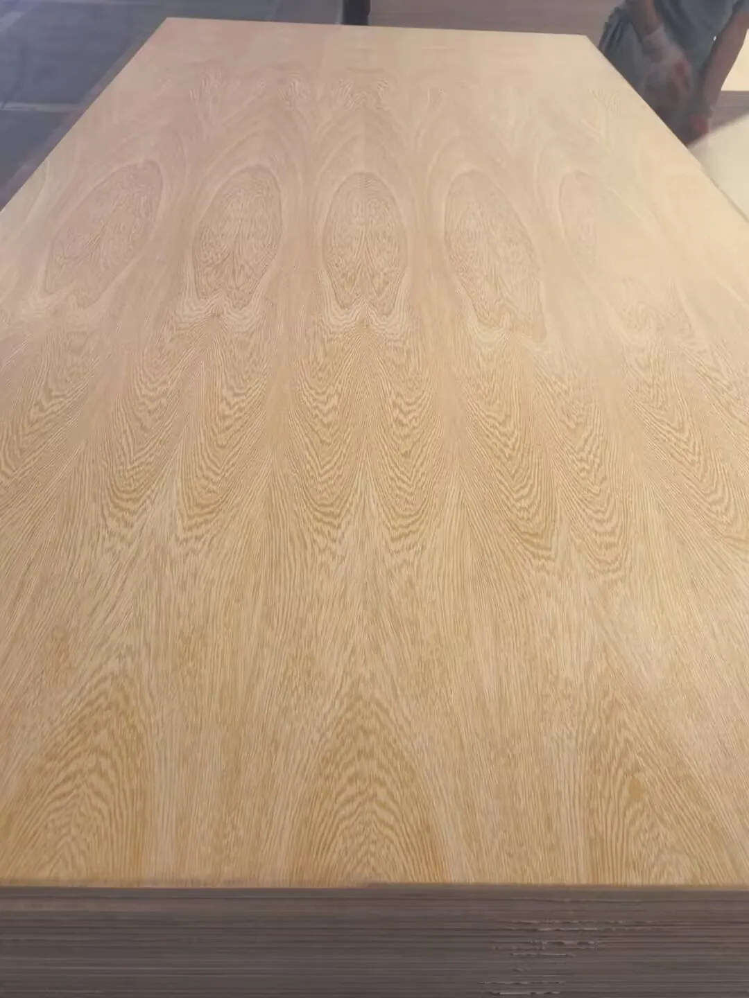 1220*2440* 12mm 15mm 18mm melamine waterproof Melamine Faced Laminated Plywood for Furniture and Cabinets