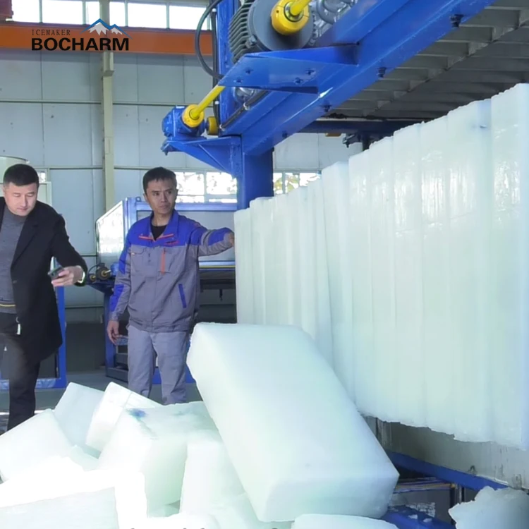 10 Ton/Day Low Maintenance Cost Industrial Ice Machine/Block Ice Machine in China