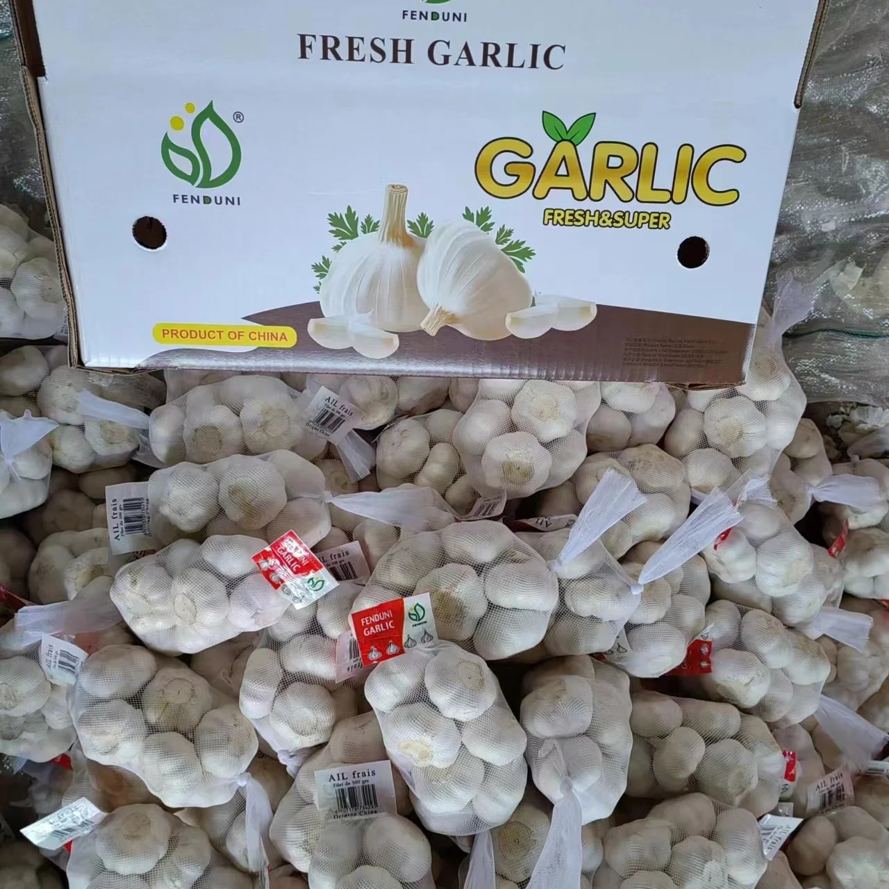 Import shan dong garlic 10kg box/2024crop with high quality