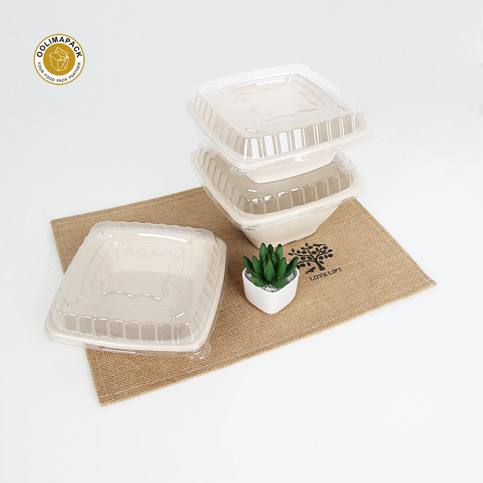 OOLIMA Disposable Sugarcane Bagasse Bowl Customized Compostable Food Packaging For Salad