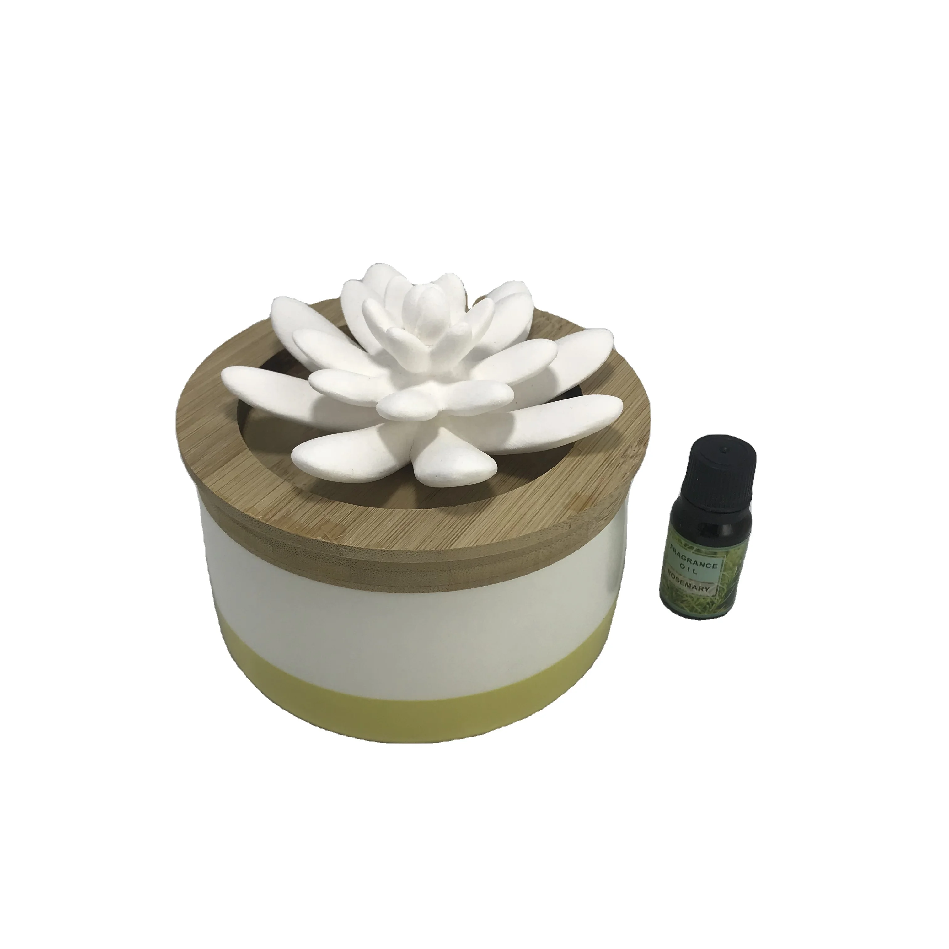 New ceramic succulent flower essential oil diffuser with ceramic bottle