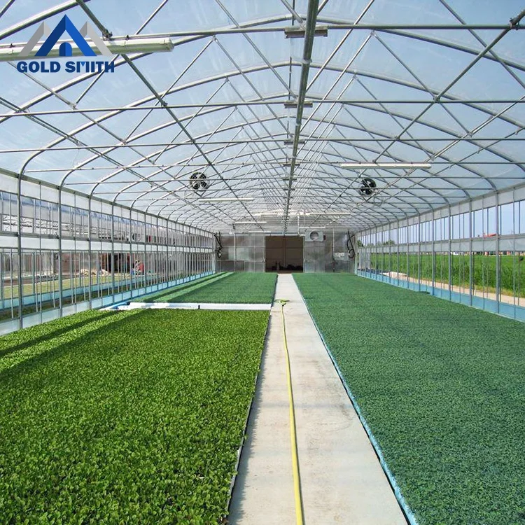 Commercial Medical Hemp Greenhouse with Light Deprivation Blackout System