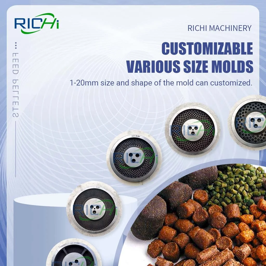 RICHI 5-7 T/H Animal Livestock Cows Pig Poultry Chicken Layer Hen Feed Production Line of Feedstuff