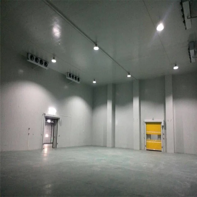 Banana cold storage 40 feet, 20 ft container 15 degree cold storage, green house walk in freezer unit