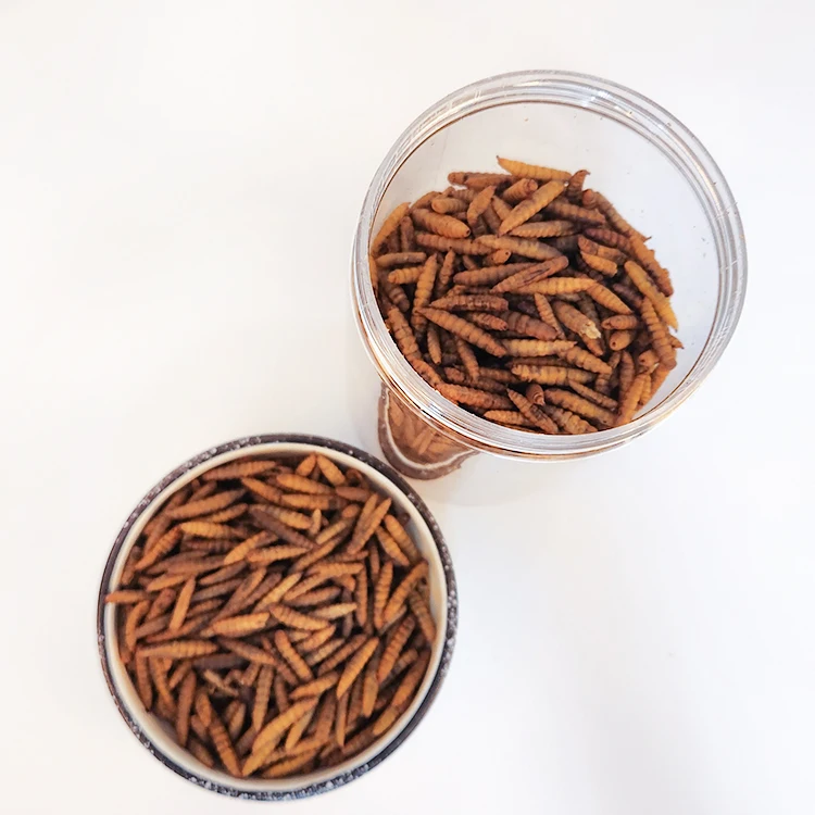 Crown Dried Black Soldier Fly Flies Larvae for Bird Pet Food High Protein BSF Powder