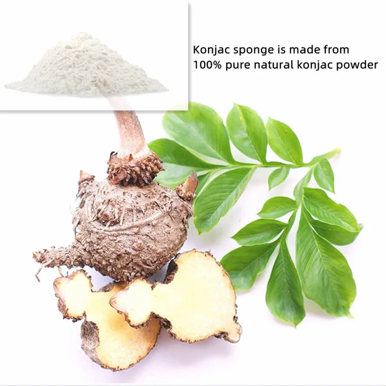 Organic Skincare Natural Exfoliating Konjac Sponge for Makeup Remover and Body cleaning