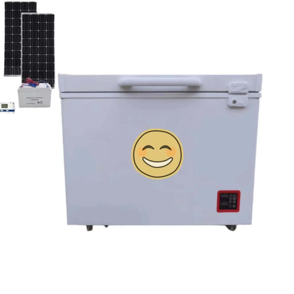 Top Chest Freezer Mini Ice Cream Display dc Freezer 66L