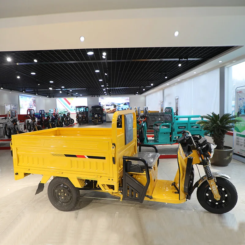 electric chinese tricycle rally heavy cargo Hydraulic elevator tricycle electric cargo enclosed closed cab
