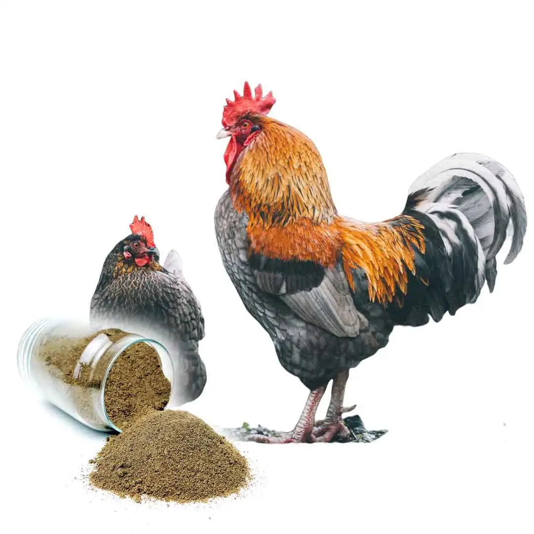 Wholesale Chicken Snacks Dog Treats Natural Dried Fish Worm High Protein