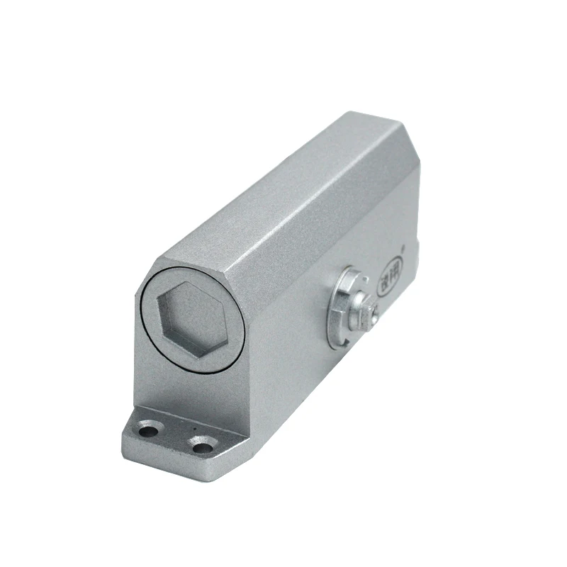 Camel Hydraulic Door Closer Pentagon 80-120kg Door Weight Automatic Aluminum alloy Heavy Duty Door Closer