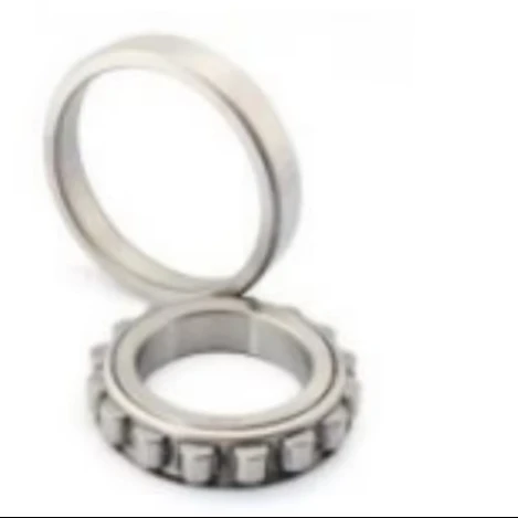 Bearing Series  NF310