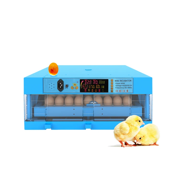 Temperature Humidity Control Small Capacity 64  Chicken Eggs Poultry Incubator