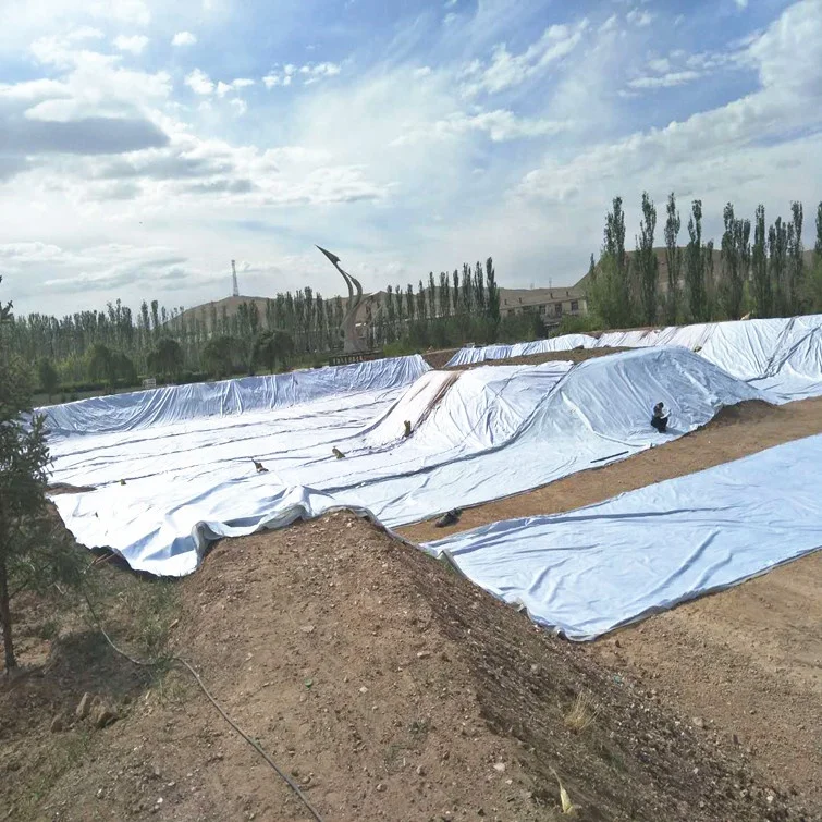 Wholesale price waterproofing membrane/ geocomposite geomembrane/geotextile membrane