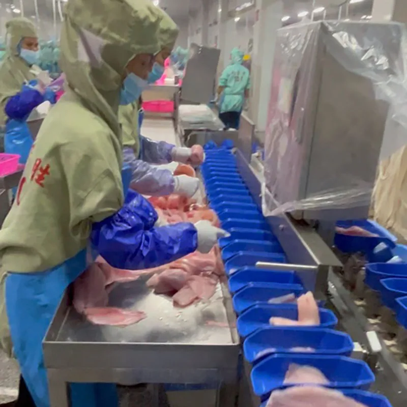 Low price frozen tilapia fish fillet filete de tilapia frozen fillets export tilapia fillet skinless