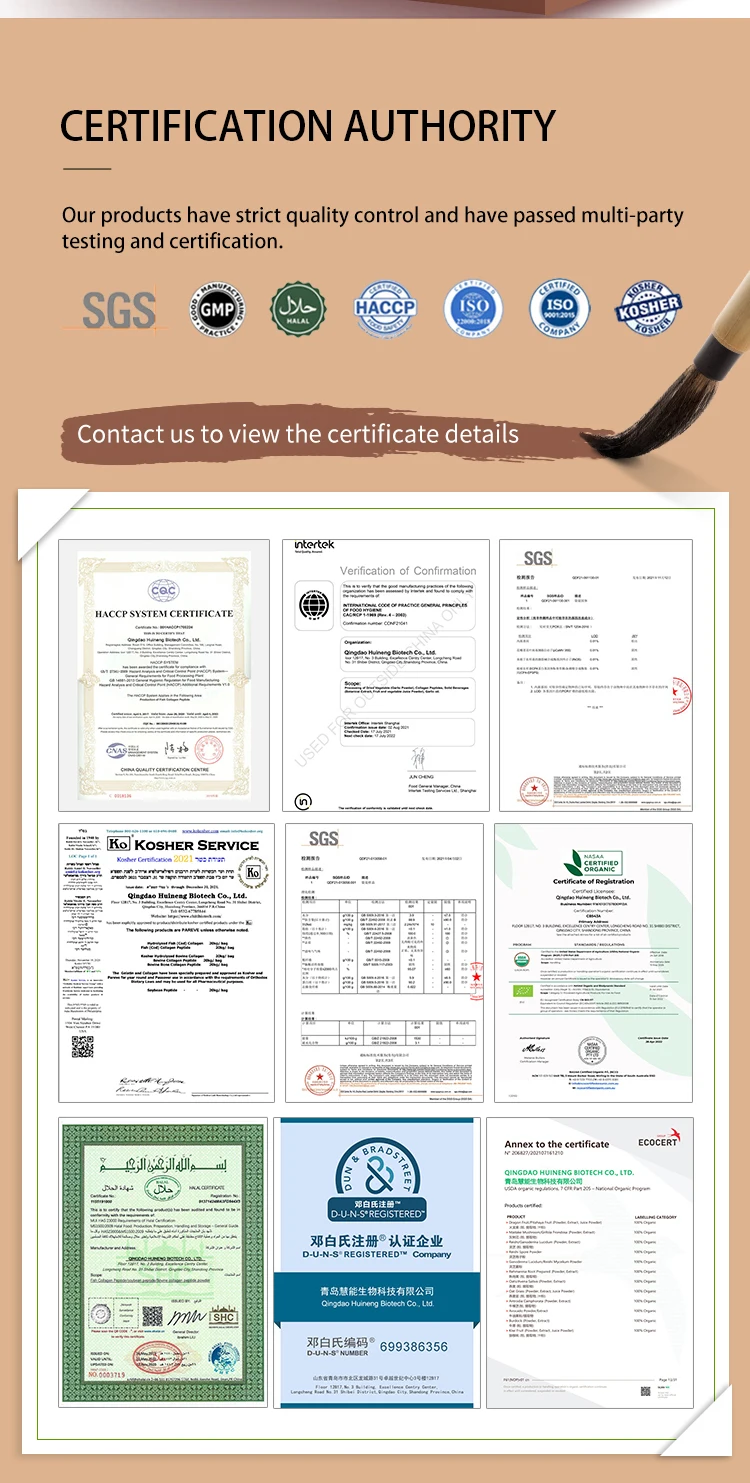 Premium Quality Organic Dried Moringa Leaves