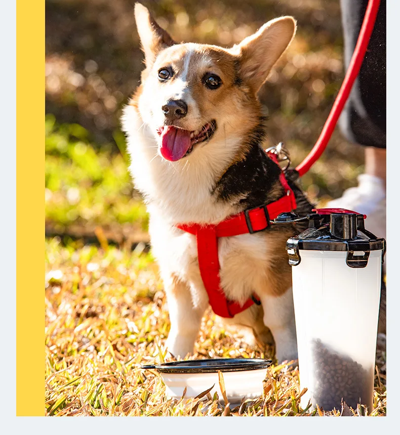 
PP Material 500ml Water 350ml Grain Pet Feeder Automatic Water Cup With Bowl. 