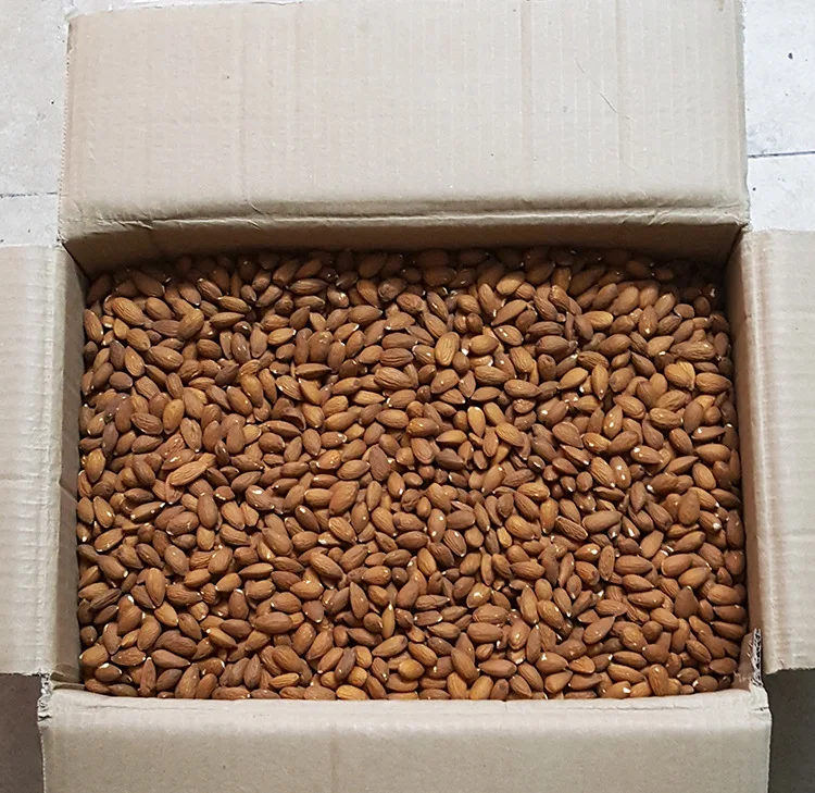 American Almond Nuts Price / Almond Kernel / Almond Wholesale NP25-27