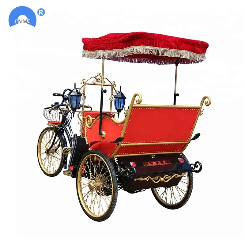 three wheels electricbicycle electric bike/bicycle for park touring & wedding