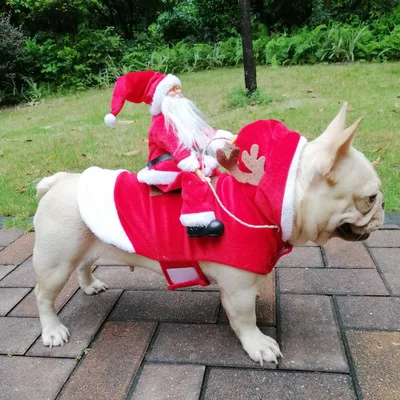 
Pet dog Christmas costumes Santa Claus riding costumes Christmas pet clothes riding deer pet Christmas supplies 