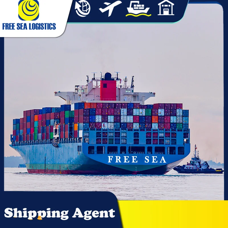 from China import export custom clearing agent provide usa uk canada customs clearance service