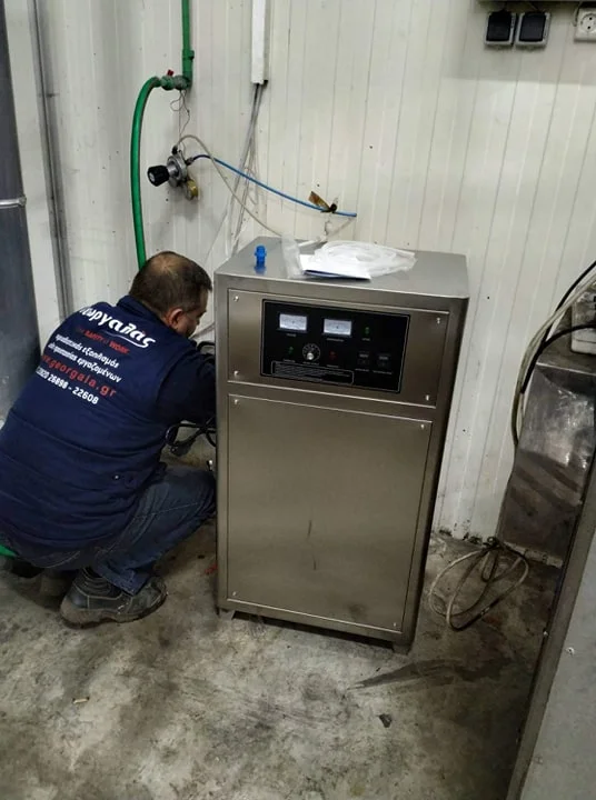 Generator Ozone Water Treatment 80g Air Water Purificaton Machine