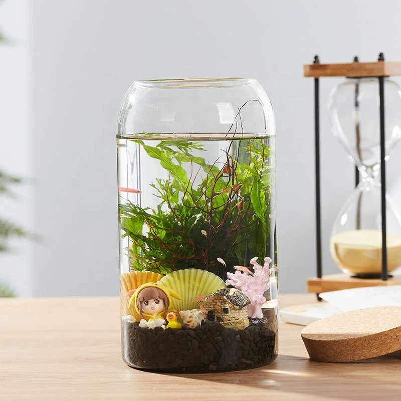 Боросиликатное стекло биодом тропический лес Террариум с пробкой