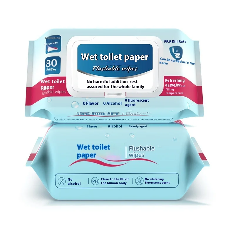 Biodegradable Flushable Wet Wipes for Women Personalized Care for Private Parts and Hemorrhoids Use for Toilet Cleaning