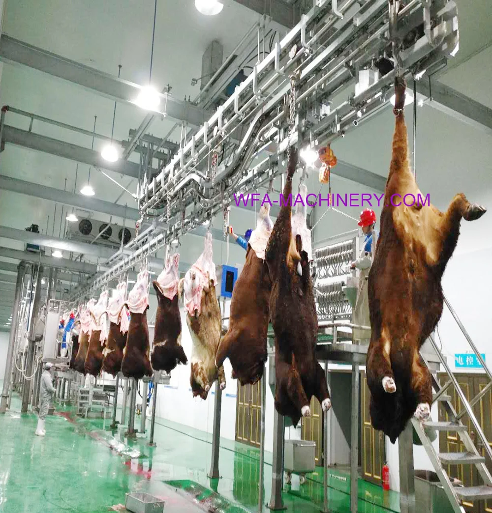  Новый дизайн оборудование для забоя производство мяса китайская конструкция скота бойни