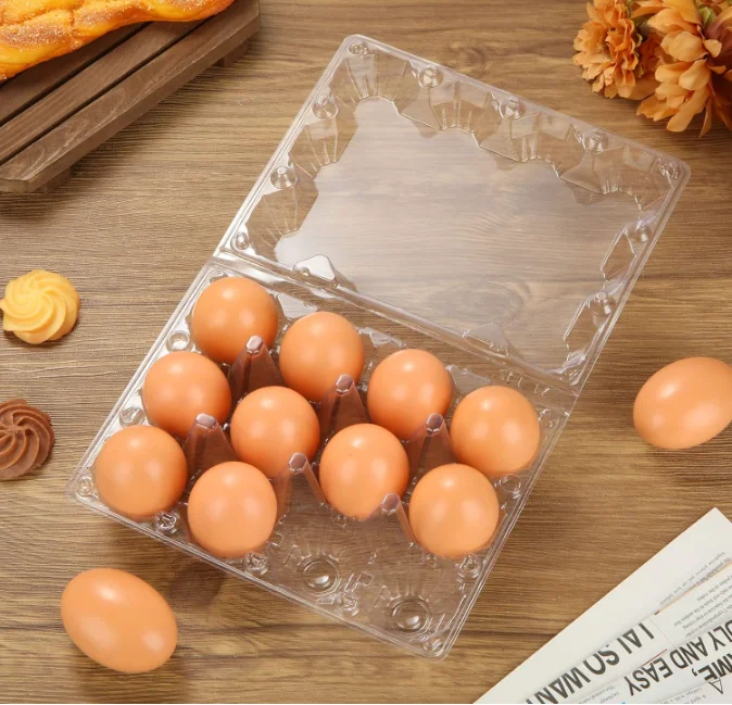 Plastic Egg Cartons Cheap Bulk, 1 Dozen Clear Egg Cartons for Chicken Eggs, Reusable Chicken Egg Tray Holders for Family Pasture