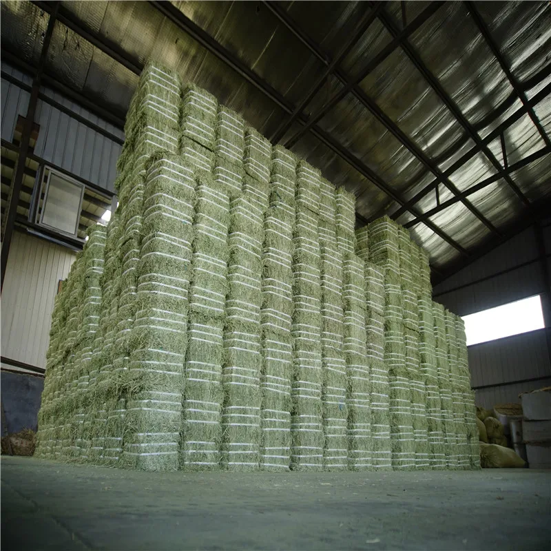 
big bales small bales Premium alfalfa hay for sale 