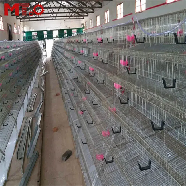 Hot sell automatic egg collecting quail cage for quail farmers around the world