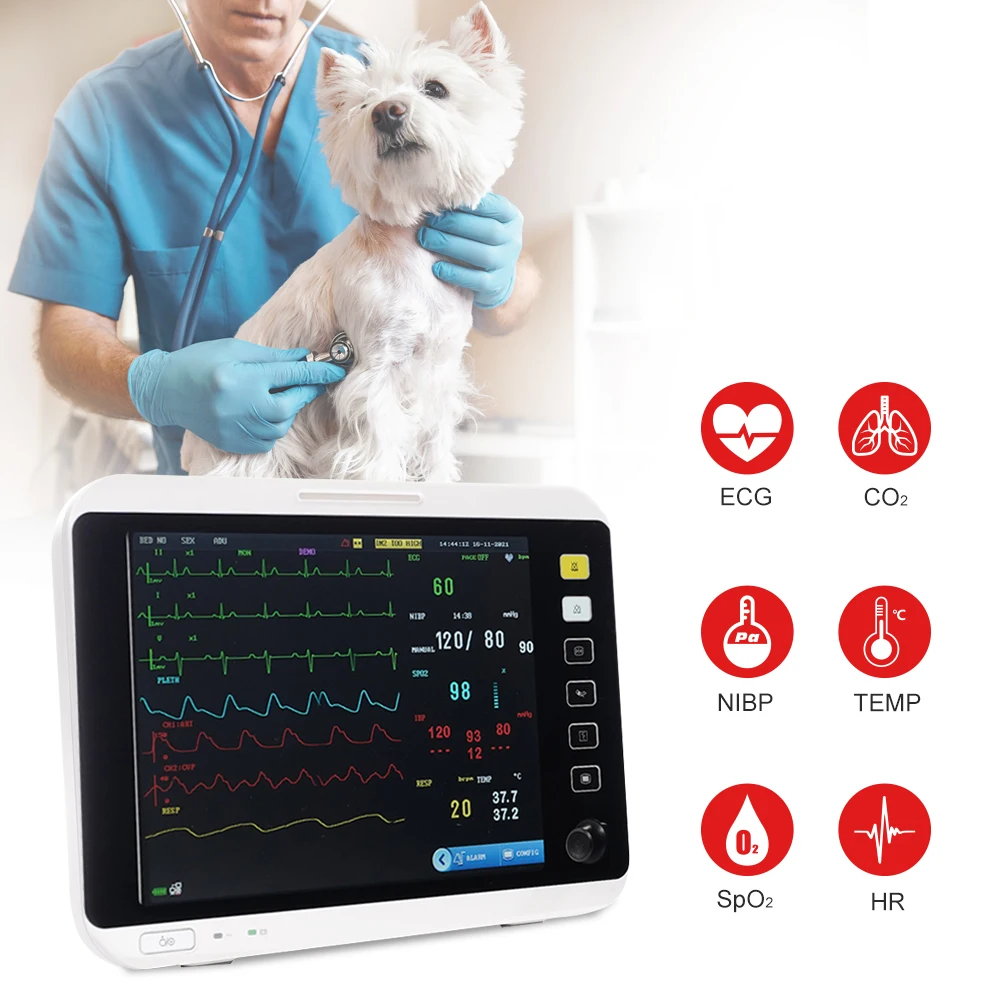 12 1 дюймовый многоязычный портативный ветеринарный мониторинг жизненно важных признаков для домашних животных с функцией Nibp Etco2