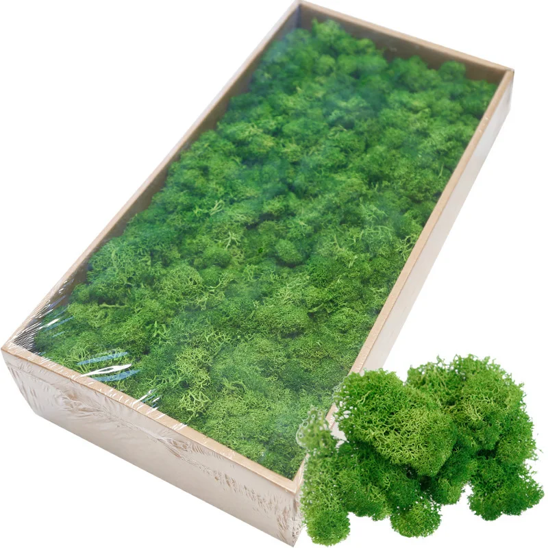 scandinavian moss Ready Made Customized Office Decoration 3D Real Natural Moss Wall Art Frame Wholesale Reindeer Moss Stabilized