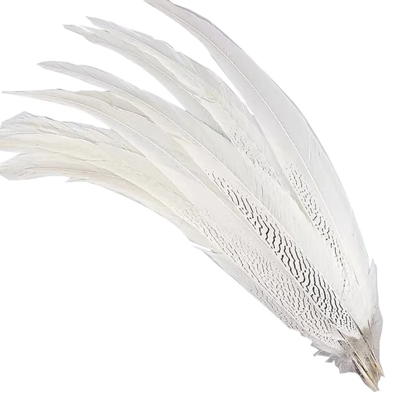 High quality feather silver chicken tail DIY decorative crafts natural silver chicken tail